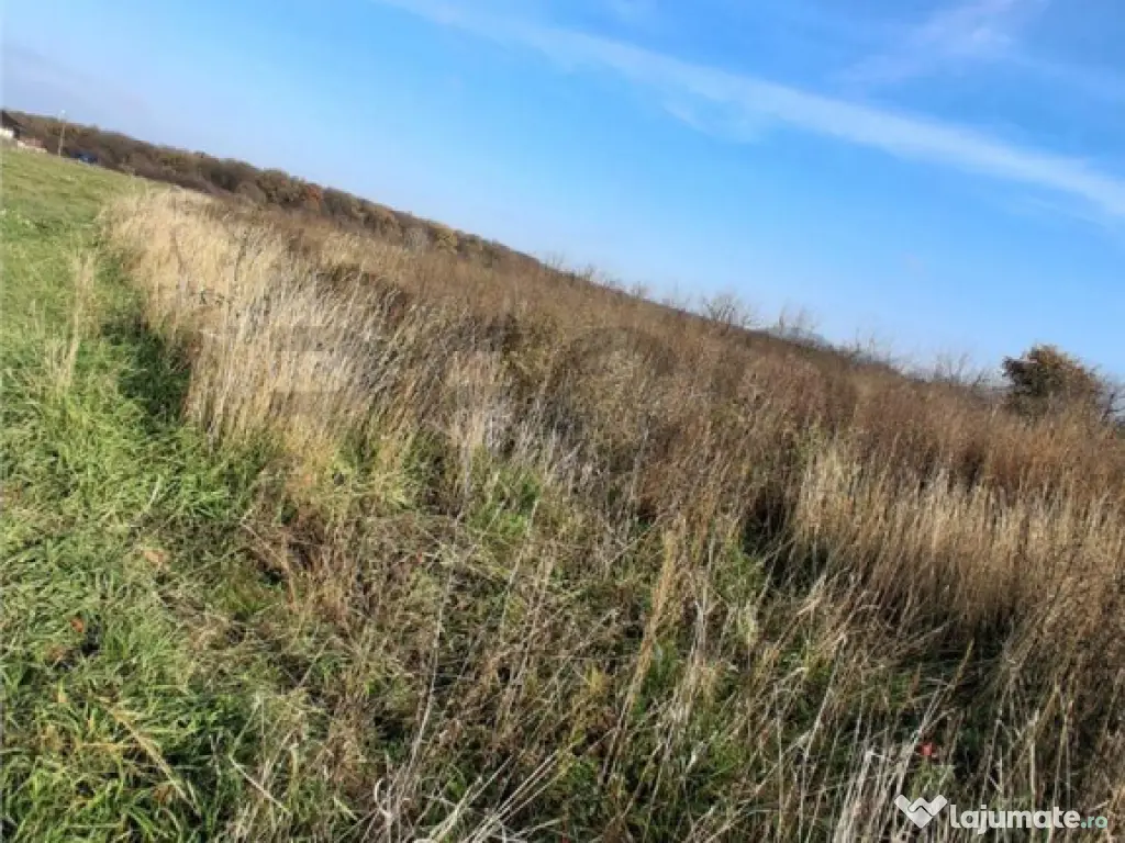 RECO Teren Intravilan Apateu 