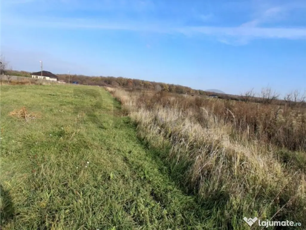 RECO Teren Intravilan Apateu 