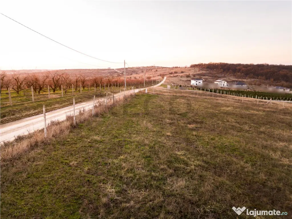 RECO Teren intravilan in Saldabagiu de Munte 