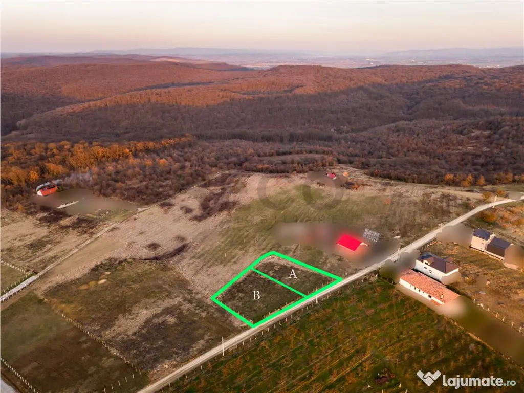 RECO Teren intravilan in Saldabagiu de Munte 