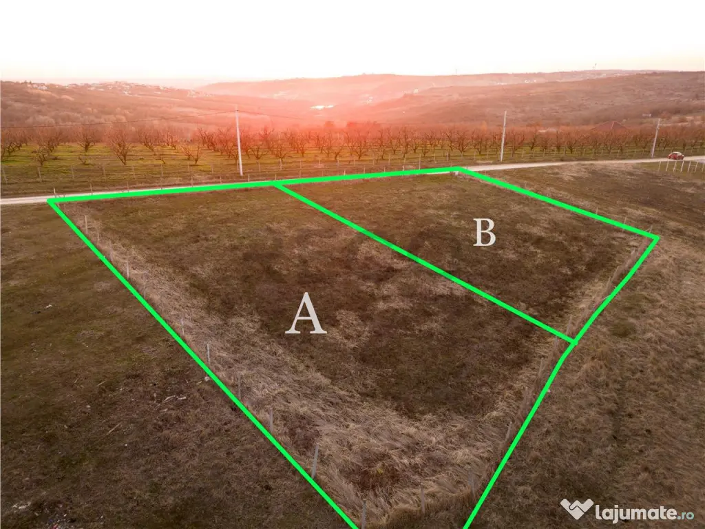 RECO Teren intravilan in Saldabagiu de Munte 