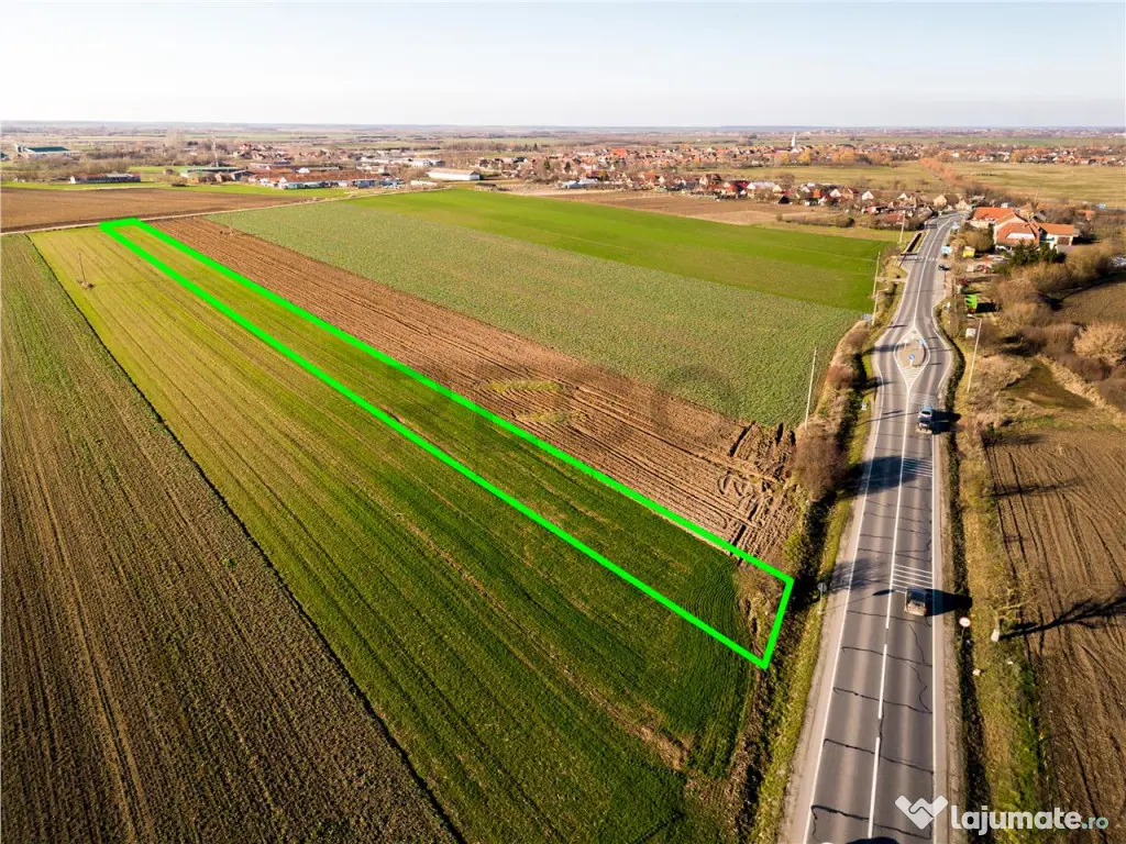 RECO teren 5000mp cu deschidere la DN19 Tamaseu 