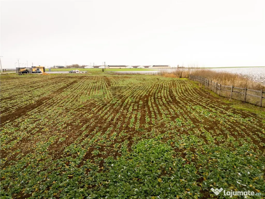 RECO . Teren extravilan 5000mp , 110ml front . 