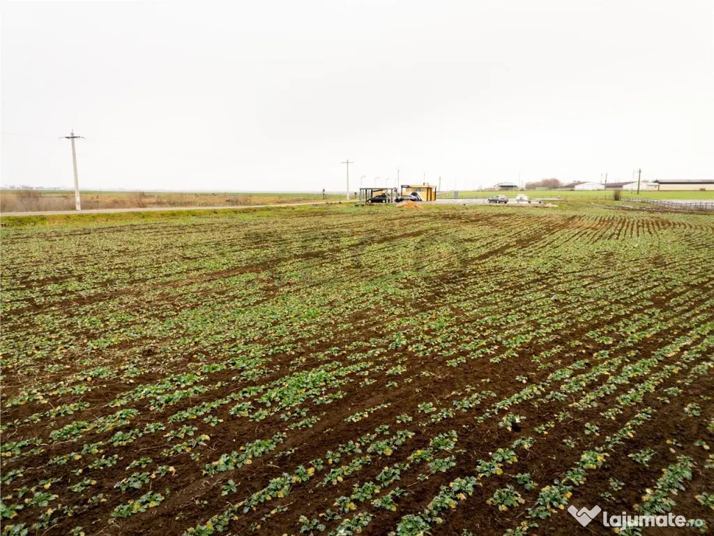 RECO . Teren extravilan 5000mp , 110ml front . 