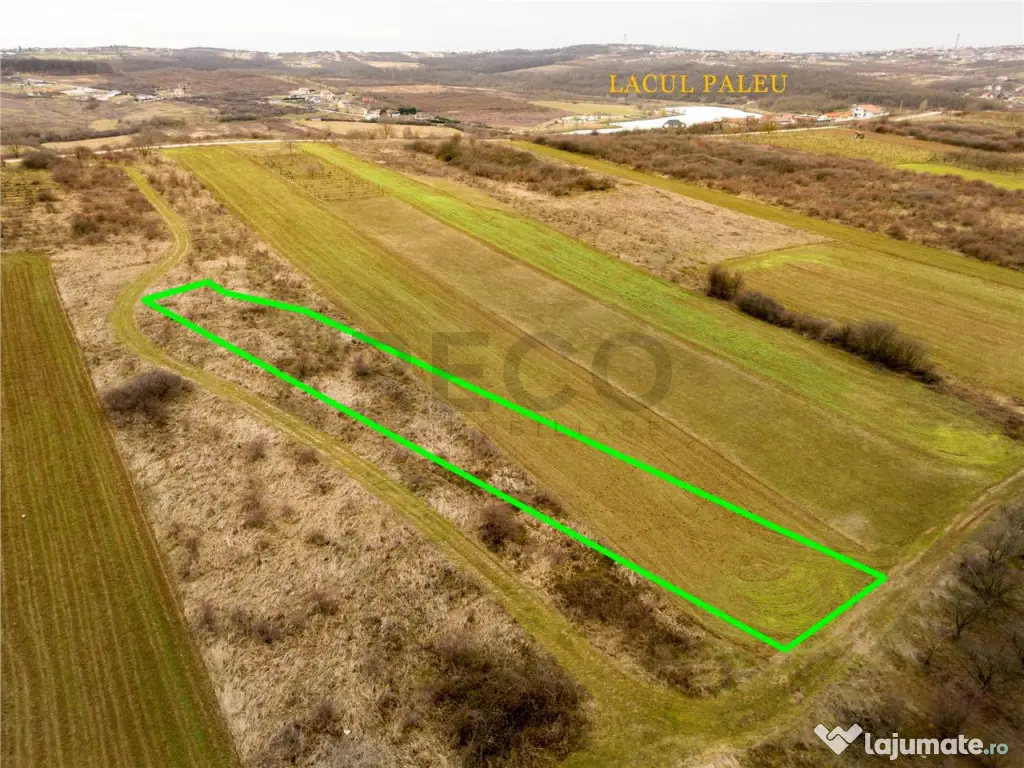 RECO Teren intravilan in Paleu 