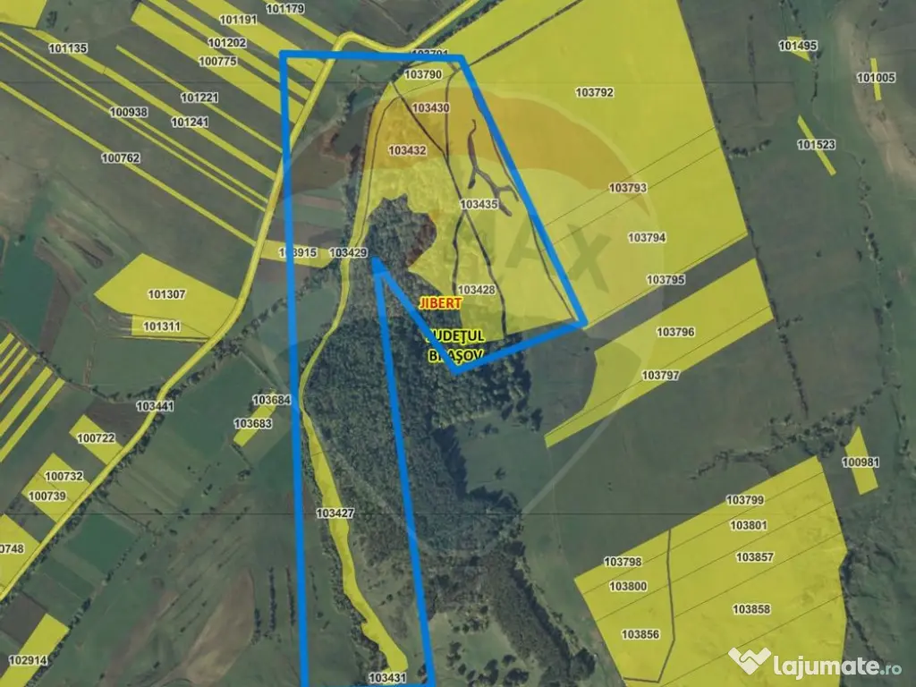 COMISION 0% | Teren 11.7ha extravilan | Jibert, | Destina... 