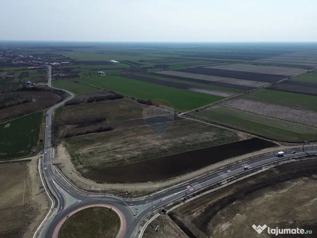 Teren 500 h plus 1000h arenda Vrancea 