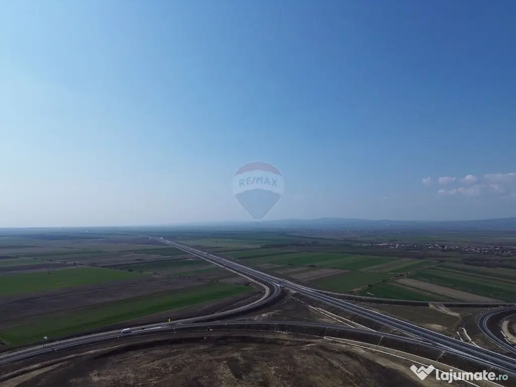 Teren 500 h plus 1000h arenda Vrancea 