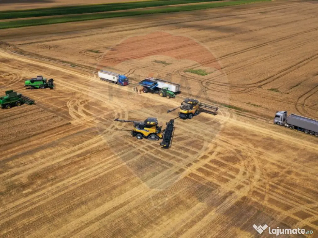 Teren 500 h plus 1000h arenda Vrancea 
