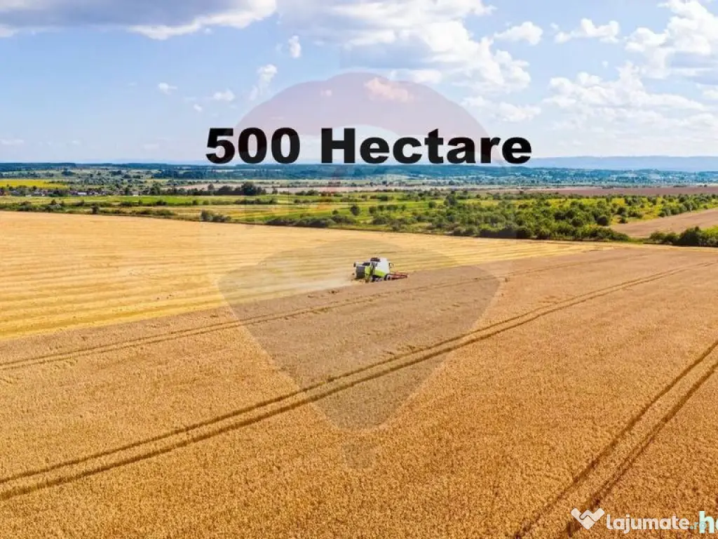 Teren 500 h plus 1000h arenda Vrancea