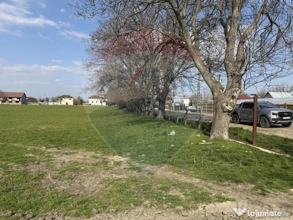 Teren 500 h plus 1000h arenda Vrancea 