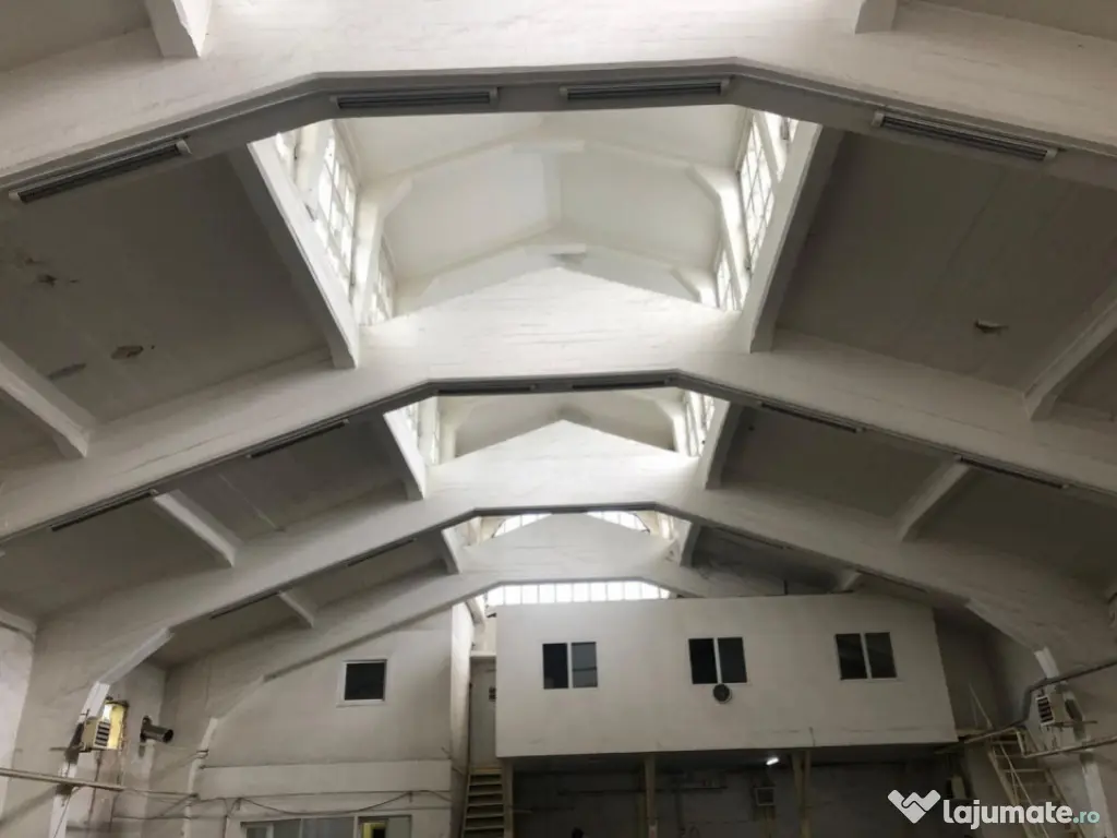 Basarabia - Costin Georgian | Hală industrială 