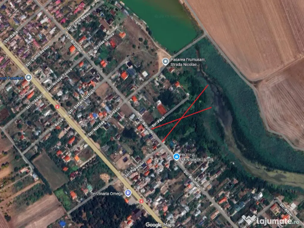 Teren intravilan 10000 mp Frumusani Pasarea Calarasi deschidere la lac 