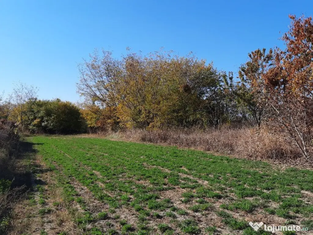 Vând proprietate în sat Brătești, com. Șirna, jud. Prahova 