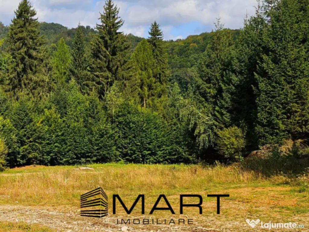 Teren 550 mp Dambul Morii 