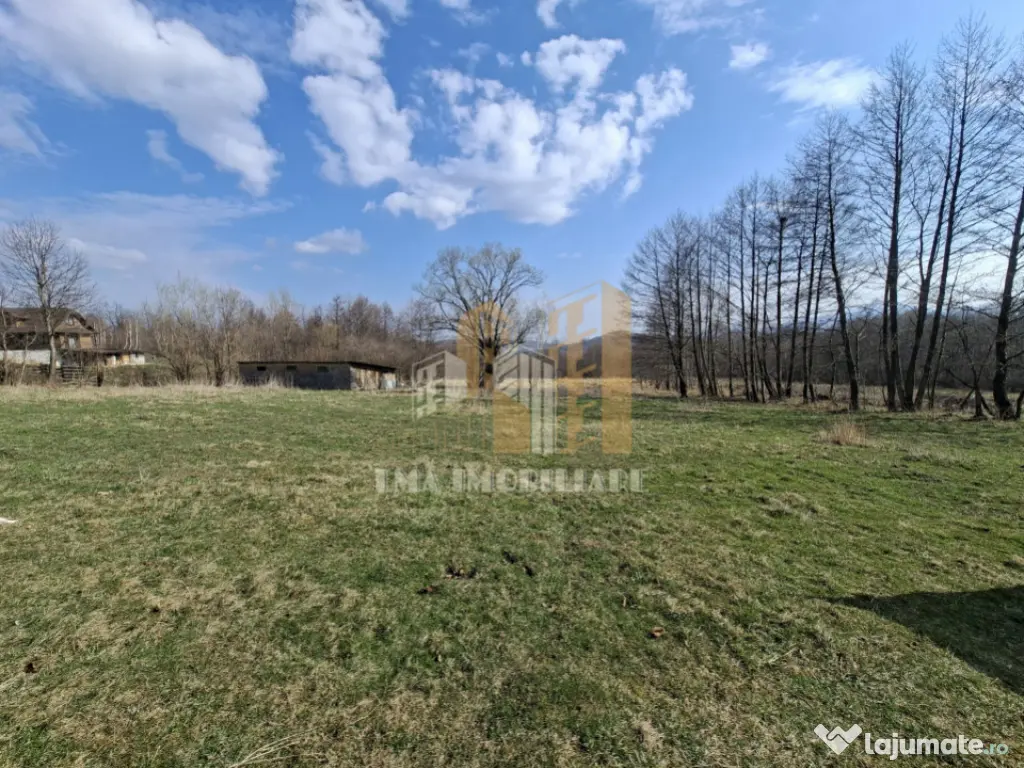 Teren intravilan Tohanita Bran-Zarmesti Brasov 