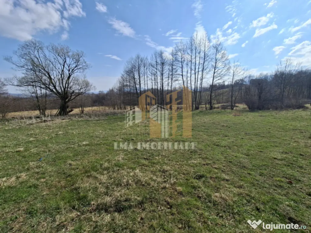 Teren intravilan Tohanita Bran-Zarmesti Brasov 