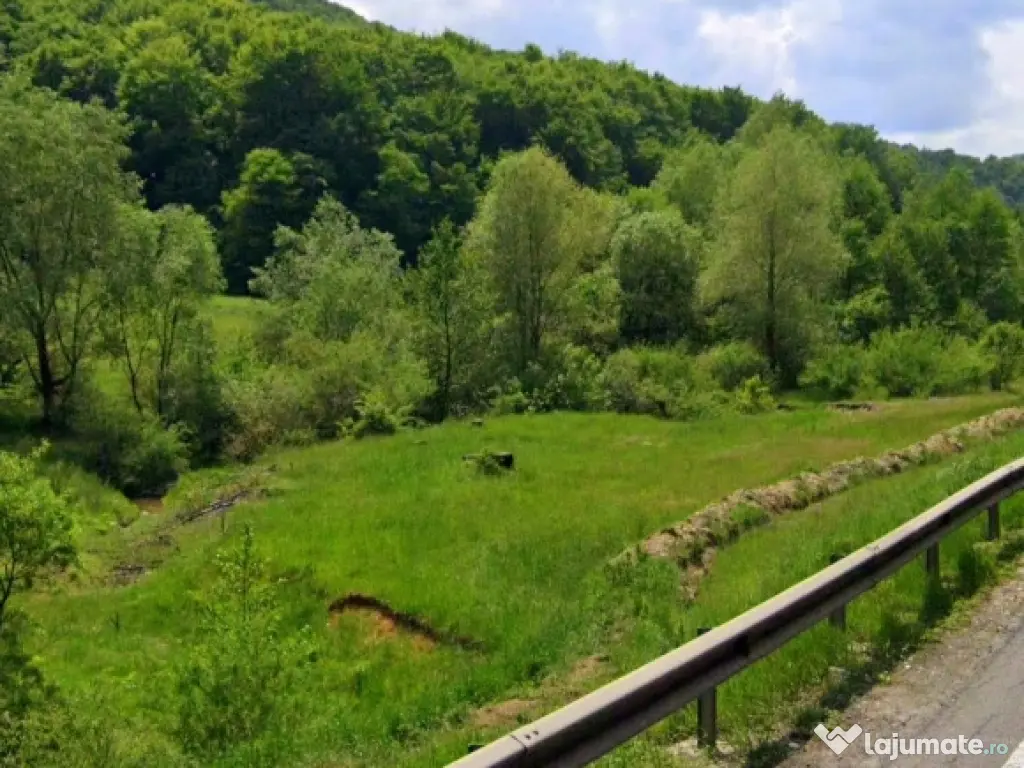 Teren 965mp investiție Măieruș – PUZ Aprobat | COMISION 0%