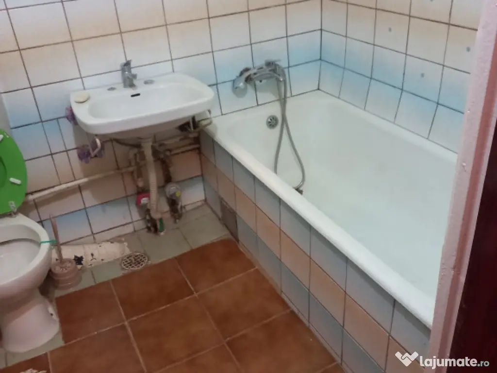 Berceni parter anton bacalbasa 