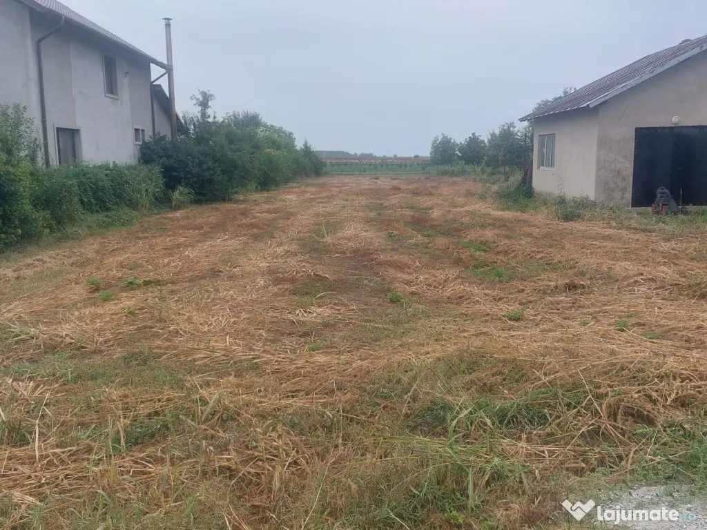 Teren Intravilan 1846 mp, sat Malaiest, comuna Rafov