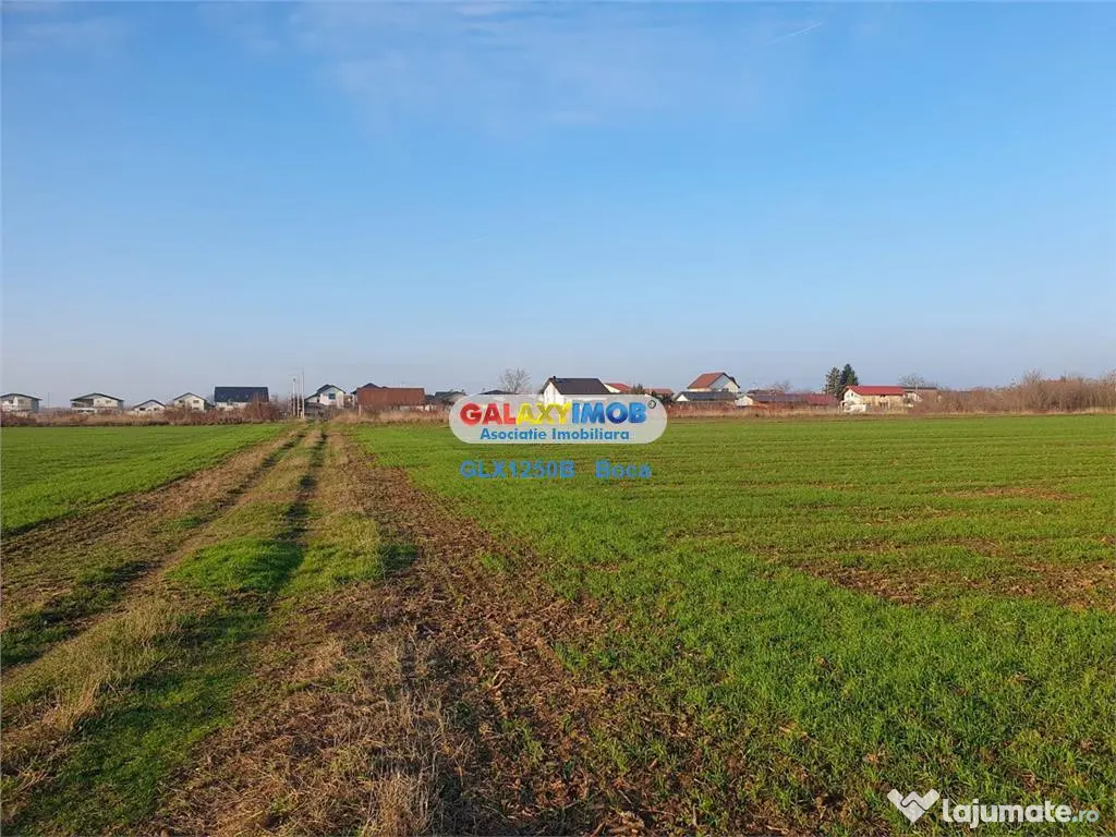 Teren intravilan Crevedia-Manastirea 