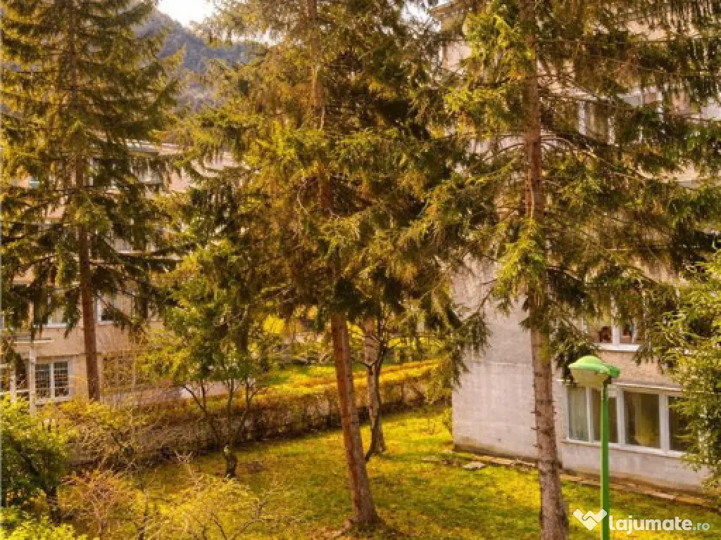 Apartament 2 camere, luminos,Ultracentral, Brasov. 