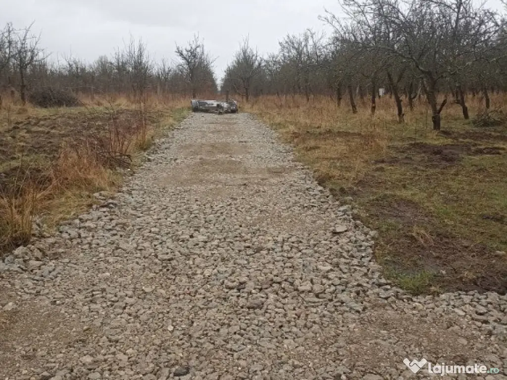 De vânzare terenuri intravilane în Sfântu Gheorghe 
