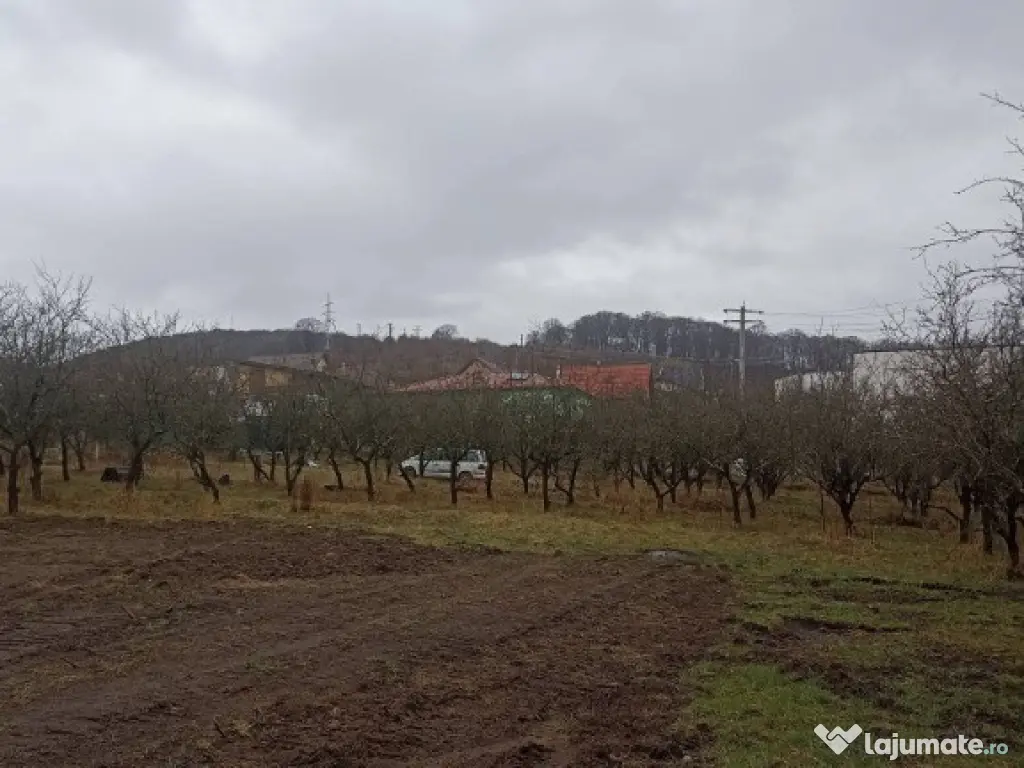 De vânzare terenuri intravilane în Sfântu Gheorghe 