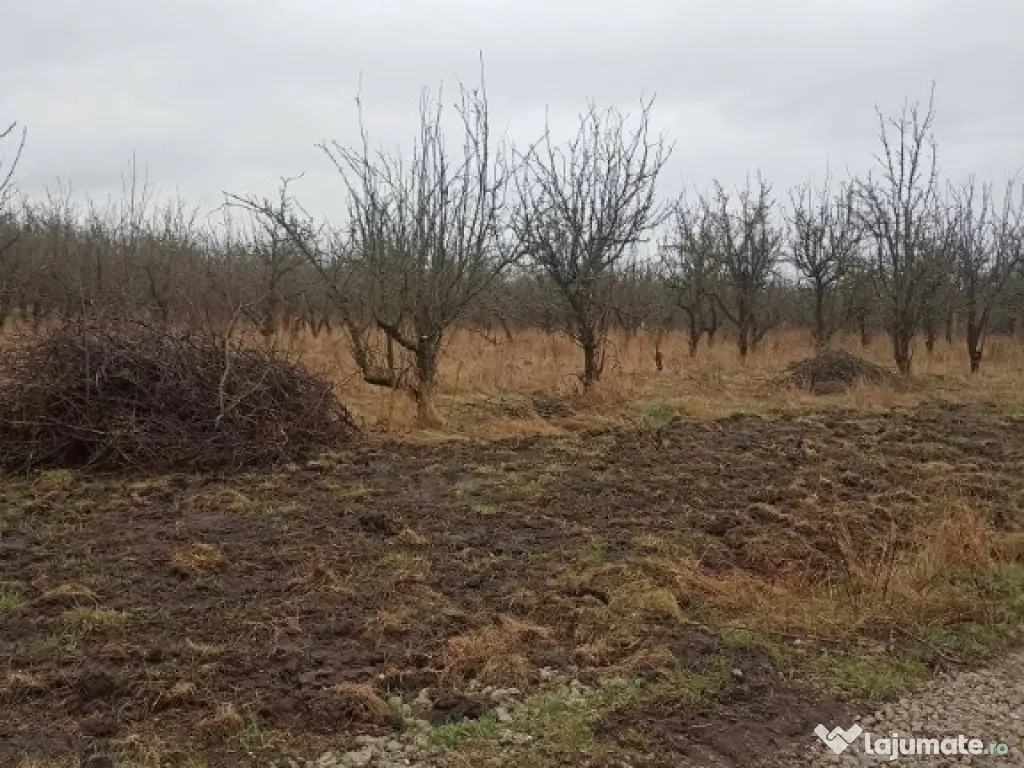 De vânzare terenuri intravilane în Sfântu Gheorghe 
