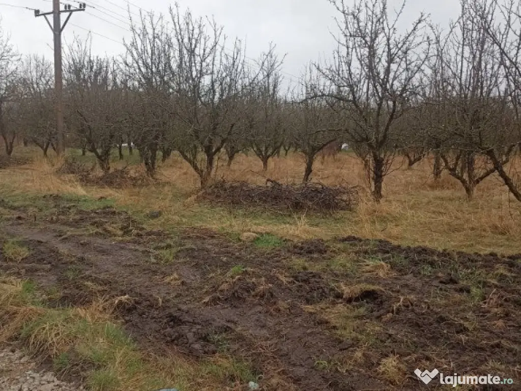 De vânzare terenuri intravilane în Sfântu Gheorghe 