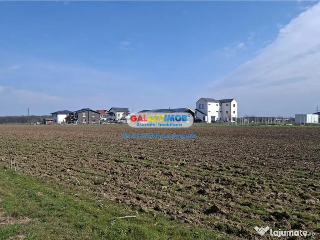 10 Loturi casa 554 mp Saftica str Lahovari cu Cameliei 