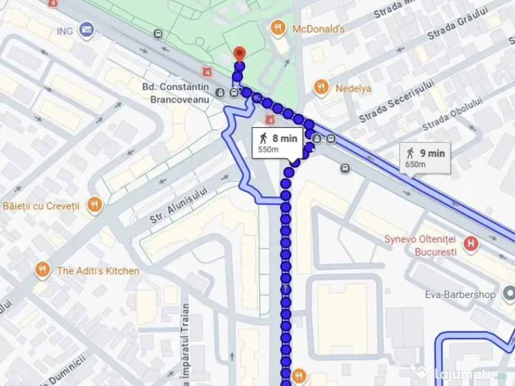 Brancoveanu paduroiu etaj 4