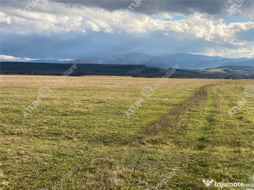 Teren de 607 mp in Sibiu pretabil investitie 