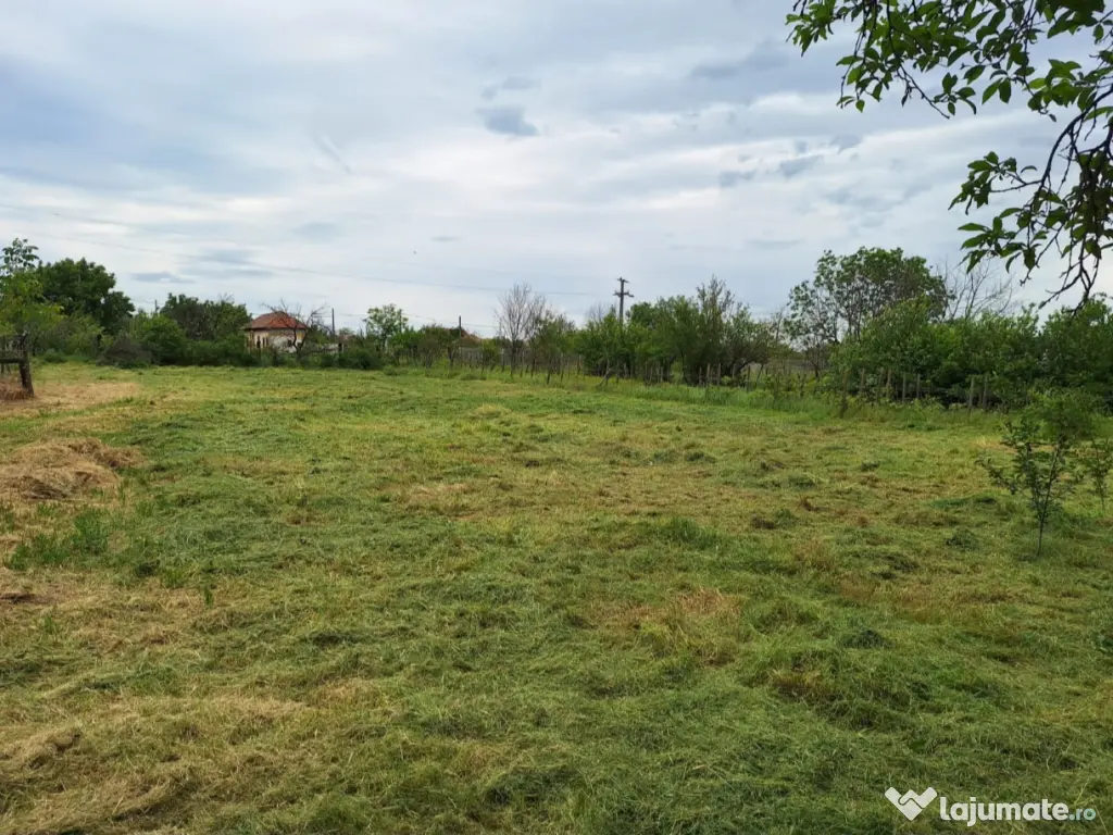 Vând teren intravilan 1796 mp, deschidere 30 m, utilități complete -Piatra-Olt 