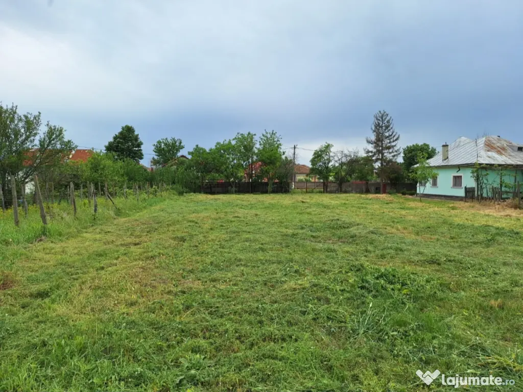 Vând teren intravilan 1796 mp, deschidere 30 m, utilități complete -Piatra-Olt 