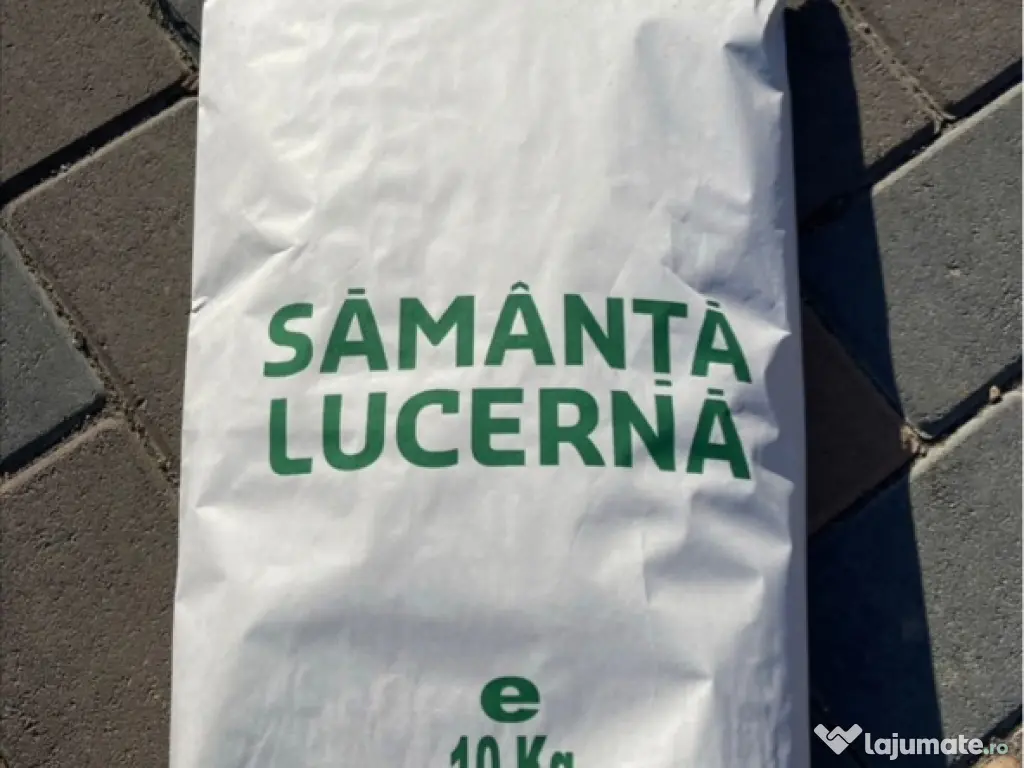 Sămânță de lucernă