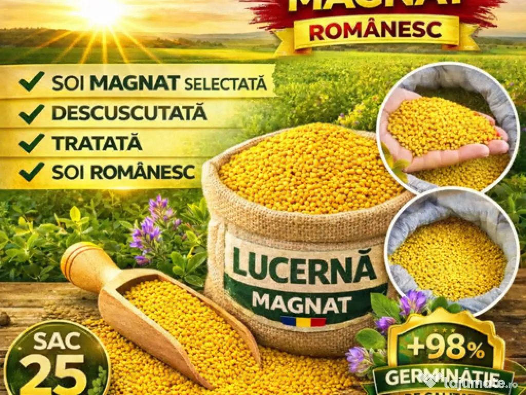 Sămânță de lucernă