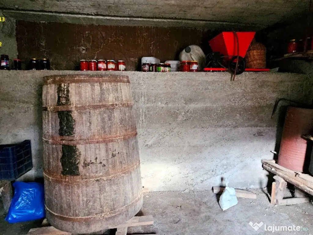 Casa + Anexa + Teren 6000 mp, la 10 minute de oras, com.Garcina 