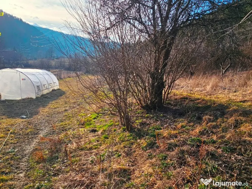 Casa + Anexa + Teren 6000 mp, la 10 minute de oras, com.Garcina 