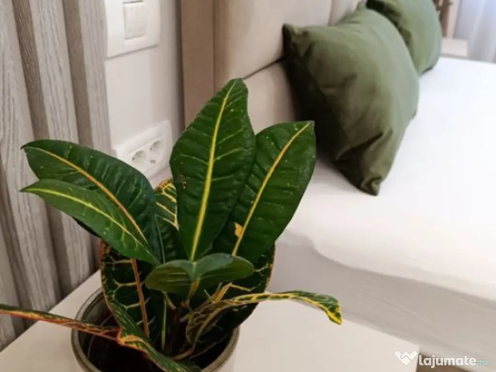 Apartament 2 camere insorit LUX , Tractorul, Coresi 