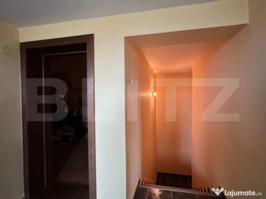 Casa S+P+E+M, 230 mp teren, Puskin 