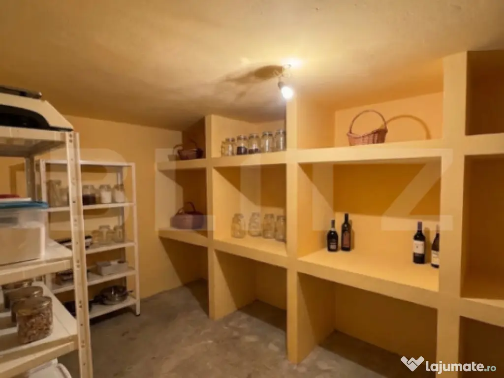 Casa S+P+E+M, 230 mp teren, Puskin 