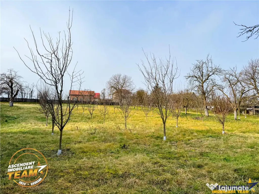 FILM! Oaza ta de liniste pe 0.5ha teren intravilan, Dalnic, 