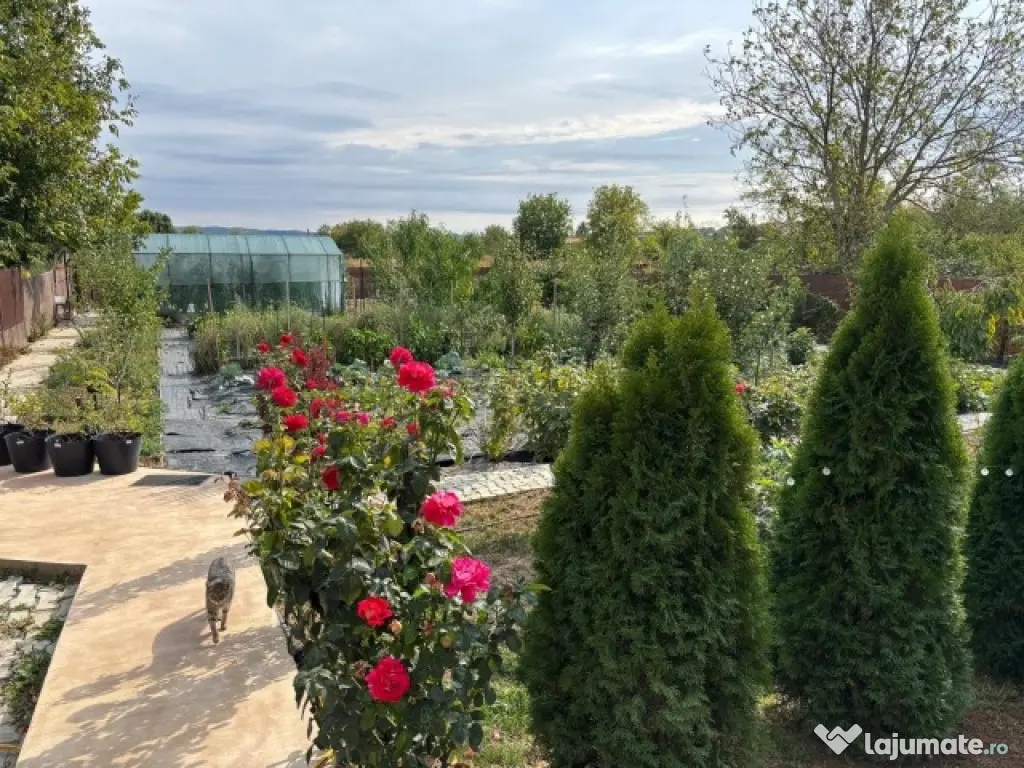 Casa, 5 camere, constructie 2022, teren 1000mp, Mehedinta, 220.000euro 