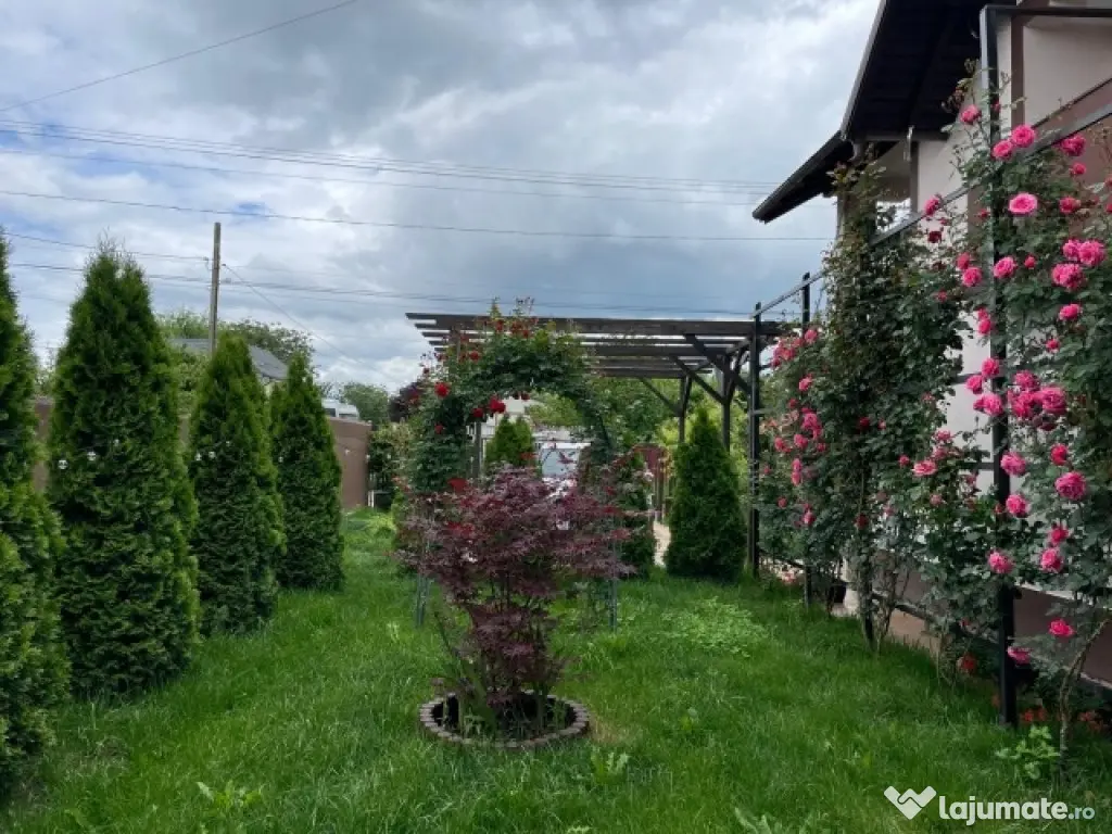 Casa, 5 camere, constructie 2022, teren 1000mp, Mehedinta, 220.000euro 