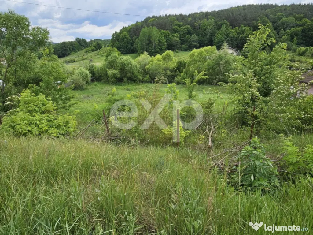 Teren 7,797mp Podis / Calea Moinesti