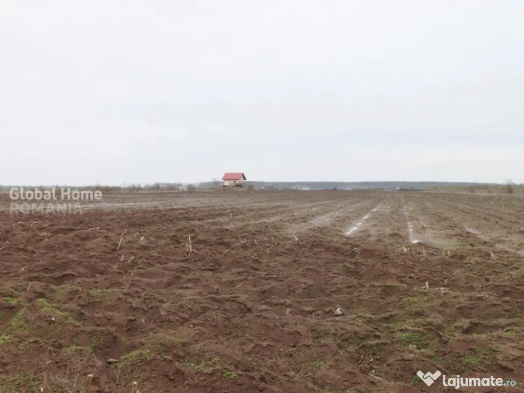 Teren 4000 mp lângă Pădurea Petrești | Investiție dezvo