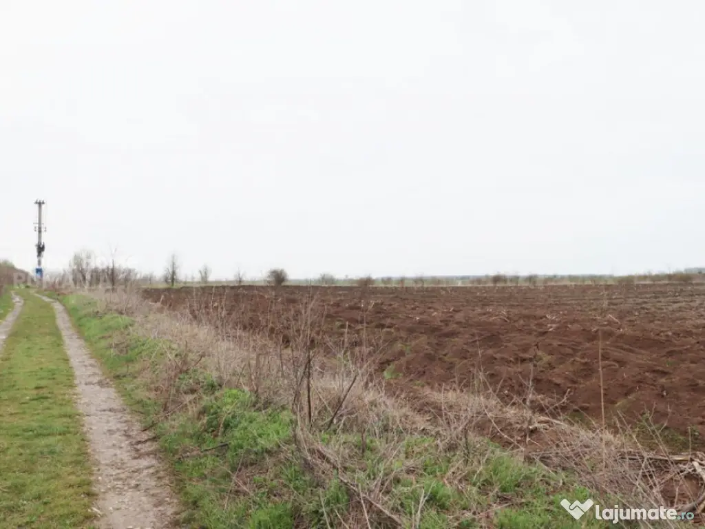 Teren 4000 mp lângă Pădurea Petrești | Investiție dezvo 