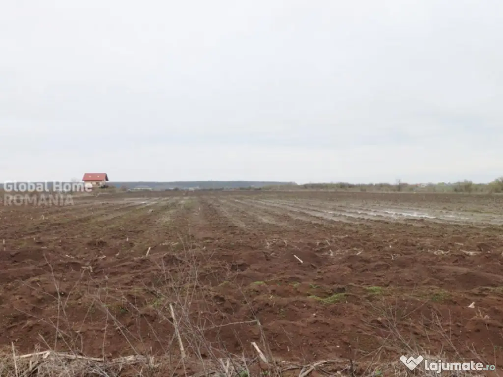 Teren 4000 mp lângă Pădurea Petrești | Investiție dezvo 