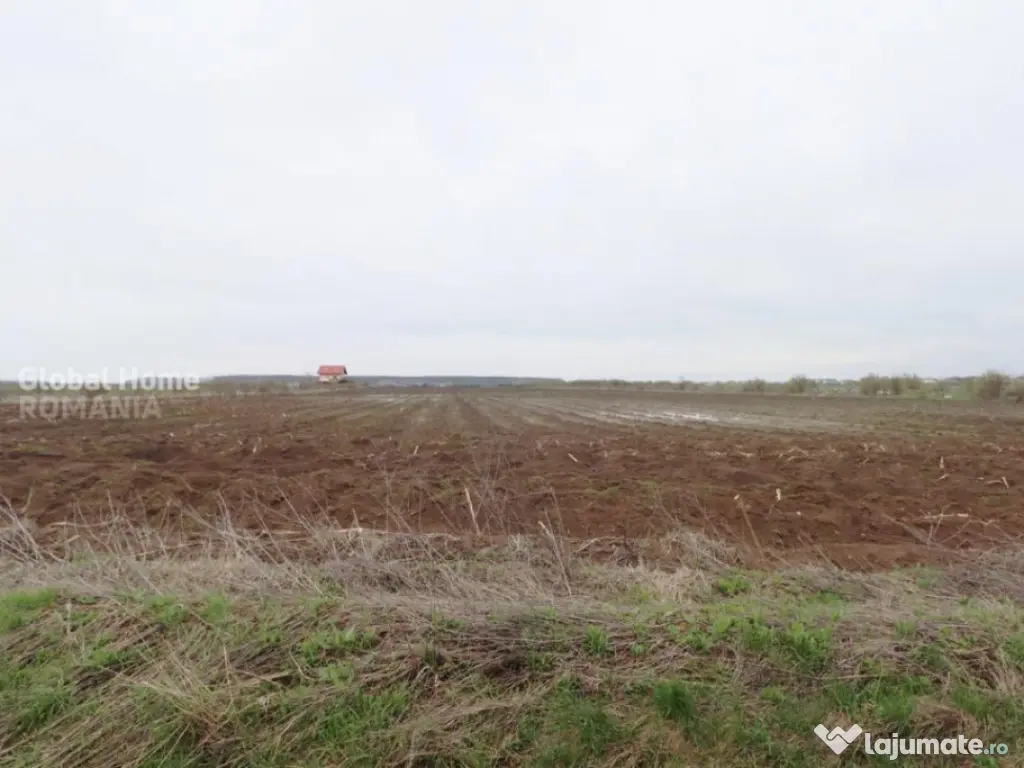 Teren 4000 mp lângă Pădurea Petrești | Investiție dezvo 